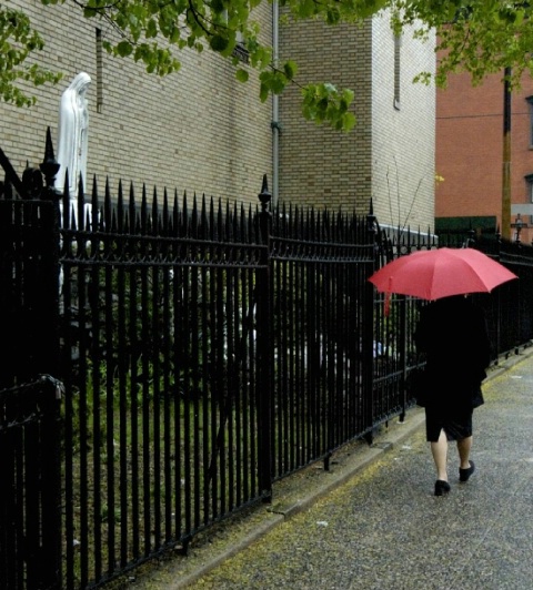 umbrella, Erie Street