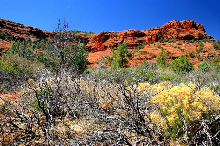 Sedona Colors