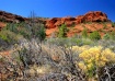 Sedona Colors
