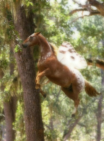 Pixie Horse After (using layre and blur)