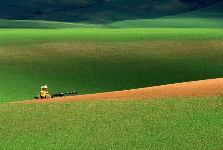 Tractor, Palouse Region, Washington