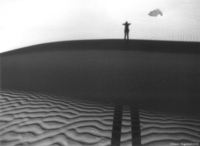 Dune Shadows Revisited