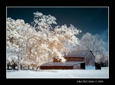 "Infrared Barn"