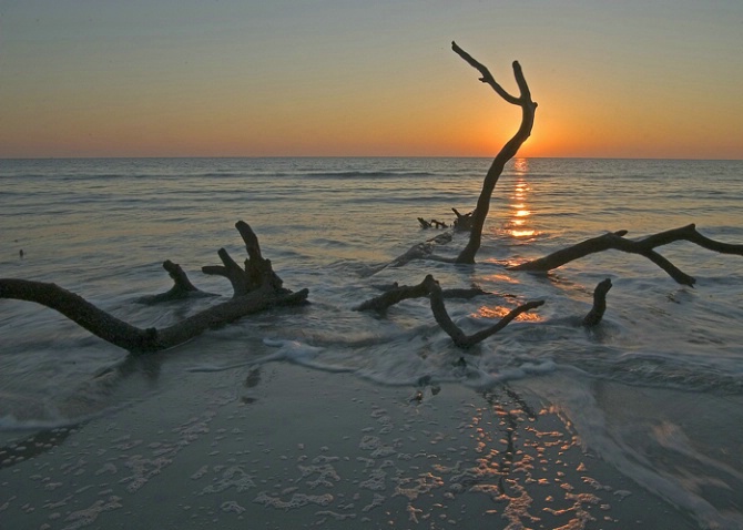 Sunrise, Hunting Island SP, SC - ID: 2042552 © george w. sharpton