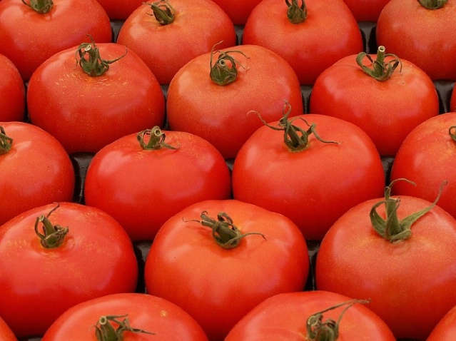 Tomatoes - ID: 2049387 © Paula E. Marsili