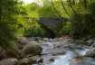 Secret Haven