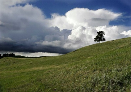 Approaching Storm                                 