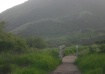 Peaceful Bridge