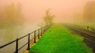 Fog on the canal