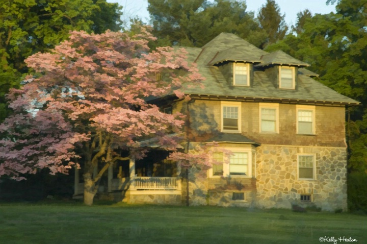 Stone House and Pink Dogwood Tree