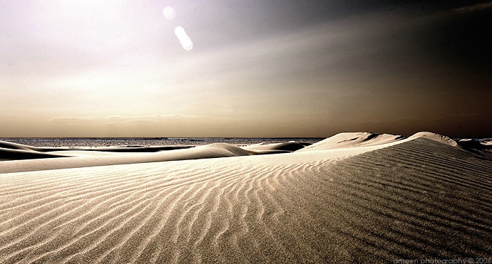 wide desert