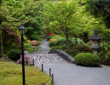 Japanese Garden, Seattle