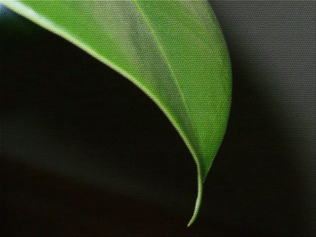 img3