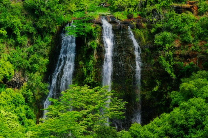 Opaeka'a Falls, Kauai - ID: 2094364 © Janine Russell