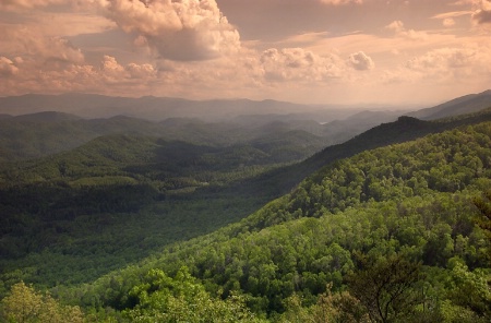 The Foothills