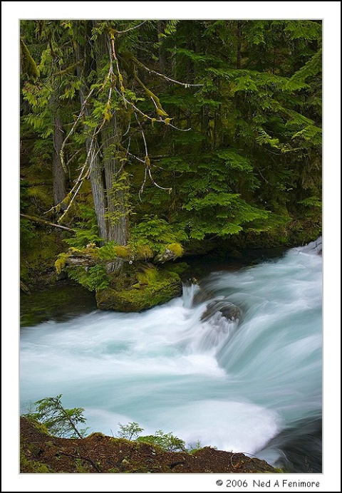Cascades Stream - Oregon