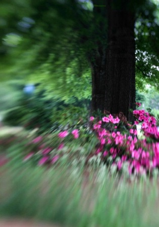Slow Shutter Speed Effect with Lensbaby