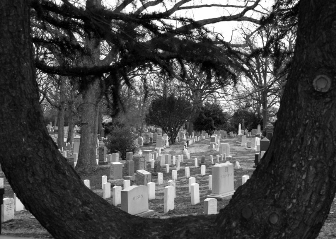 Arlington Cemetary