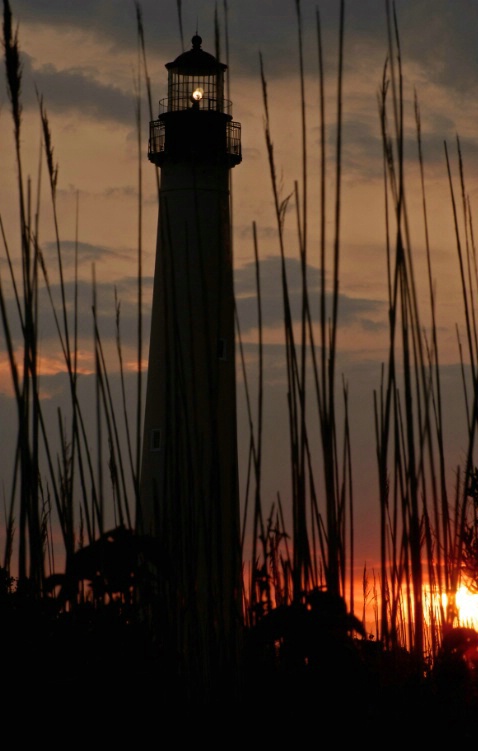Cape May Lighthouse with Grass - ID: 2132670 © Don Johnson