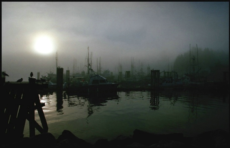 Harbour sunrise - ID: 2135187 © Stuart May