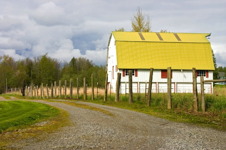 On a Country Road