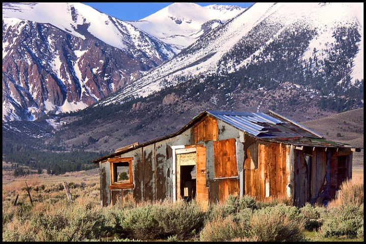 Mono Lake cabin