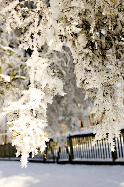 Snow Curtains