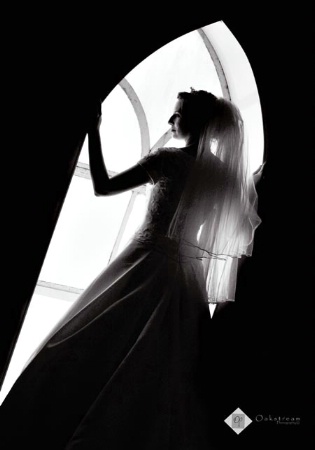 ~~Silhouetted Bride~~