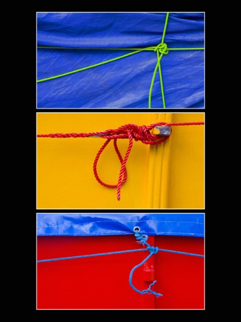 Knot Triptych