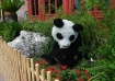 Panda Bush