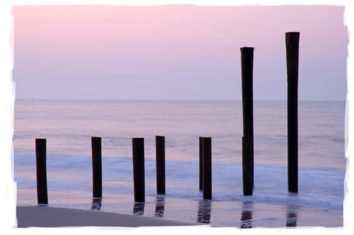 Cape May beach sunrise sticks
