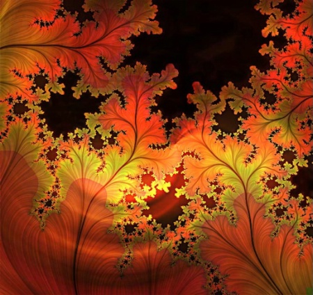 Autumn Lace