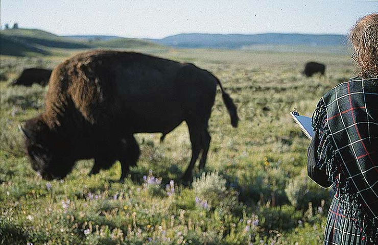 A Scotsman in Yellowstone