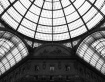Milano's Gall...