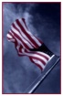 Freedom Isn't...