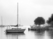 Foggy 