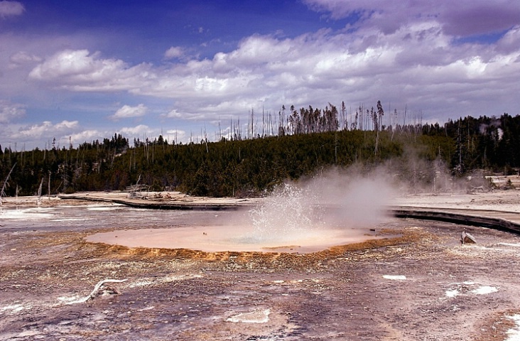 Yellowstone Park, Norris Basin - Pearl Geyser, Pre