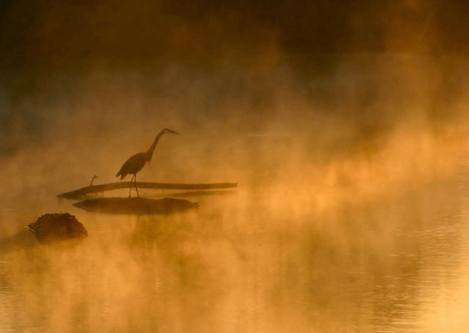 Fishing at First Light