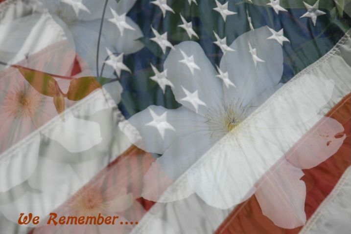 We Remember.... - ID: 2191955 © Kathleen McCauley