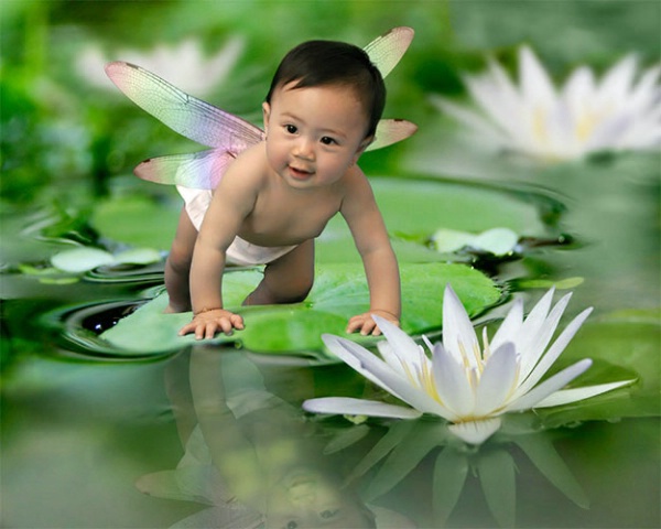 Baby On Leaf (2)