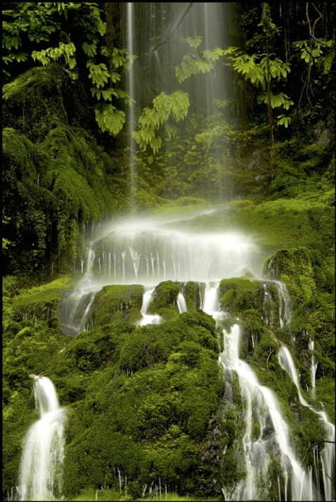 Quinault falls 1 - ID: 2197885 © Stuart May