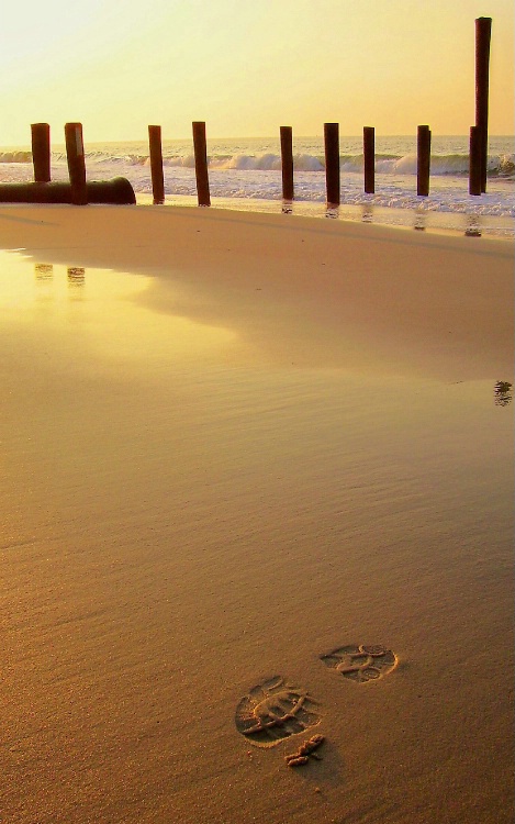 Footprint in the sand