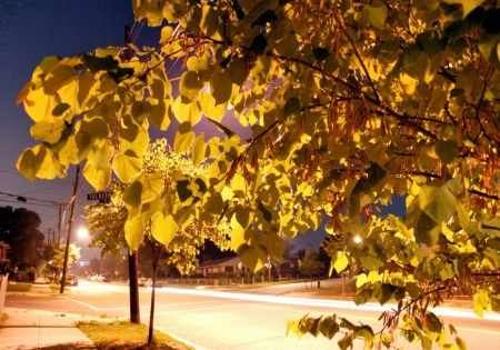 Street at Night Modified Nikon Capture