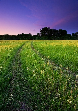 Country Road