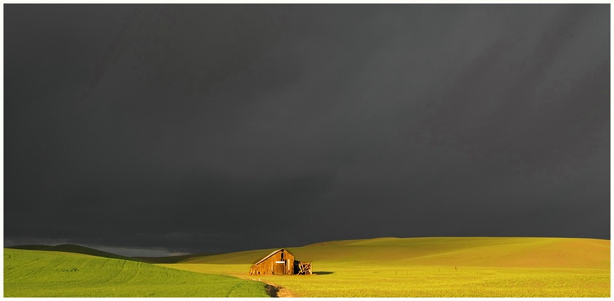 Swallowing Barns In The Palouse