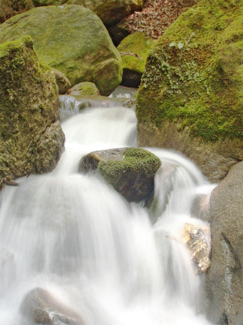 Short Falls