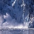 © Shirlee Cunningham PhotoID# 2210807: Glacier Away!