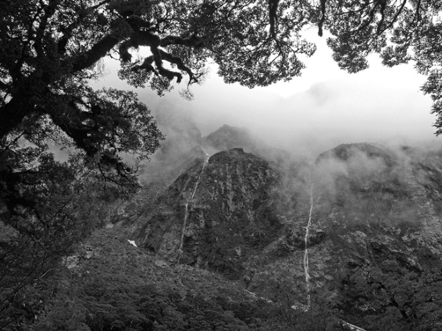 New Zealand Rain