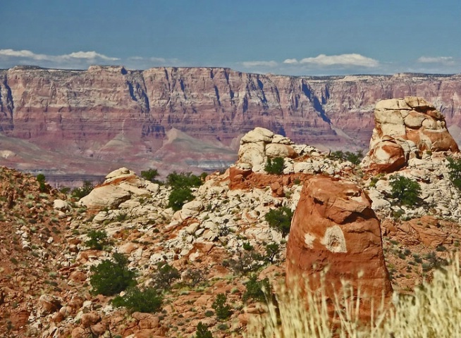 Vermillion Cliffs Arizona