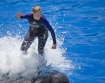 Whale Surfing